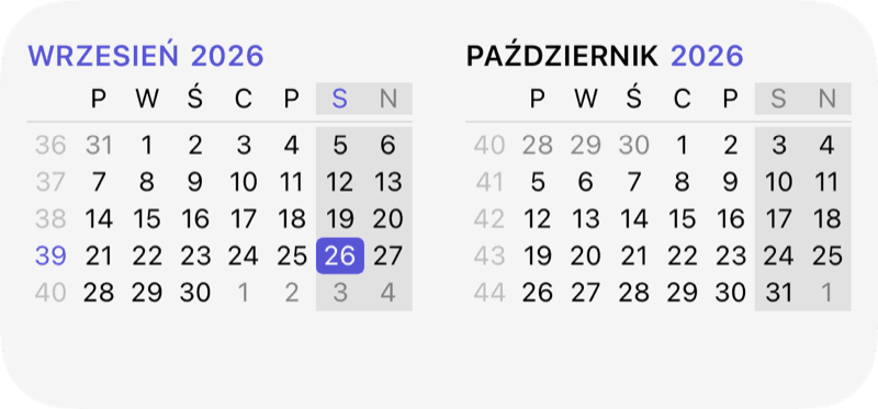 Widżet miesiąca