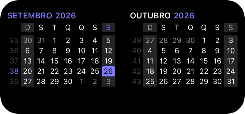 Widget de mês