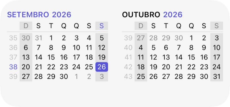 Widget de mês