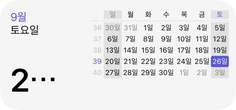 날짜 + 월 위젯