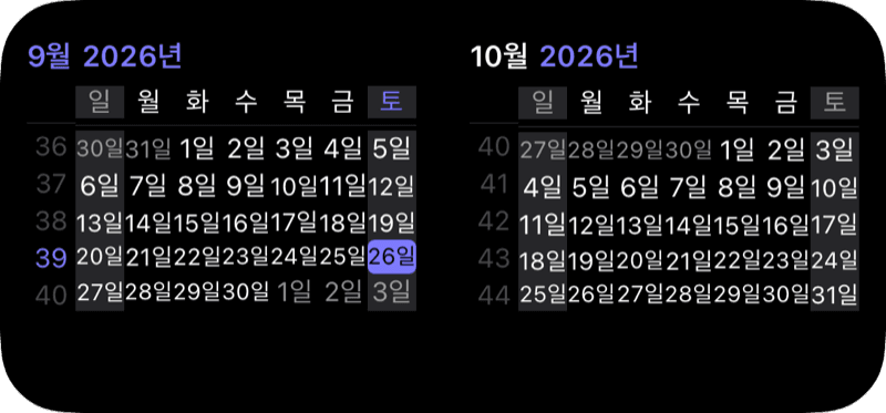 월 위젯