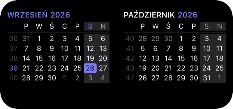 Widżet miesiąca